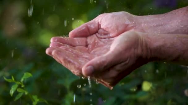Капли Дождевой Воды — стоковое видео
