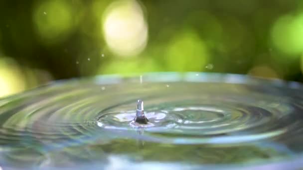 Droppe Vatten Med Krusningar Naturen — Stockvideo