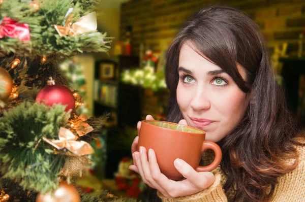 Jonge vrouw ontspannen thuis. Kersttijd. mooi meisje thuis het drinken van thee. — Stockfoto