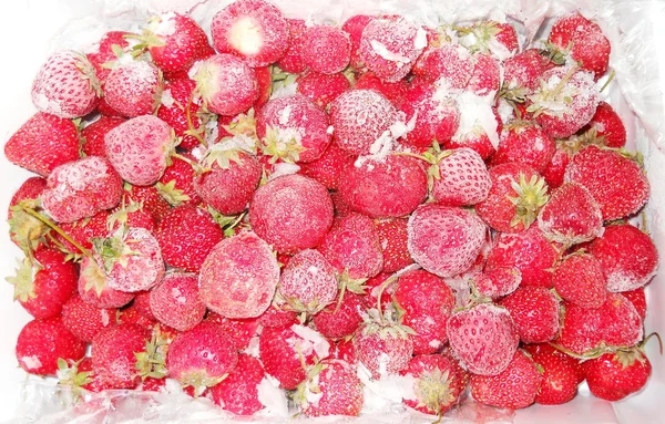 Frozen strawberry — Stock Photo, Image