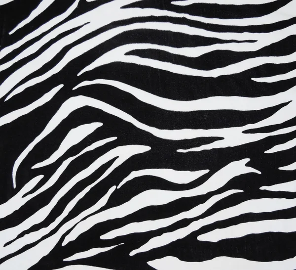 Zebra Tekstil — Stok fotoğraf