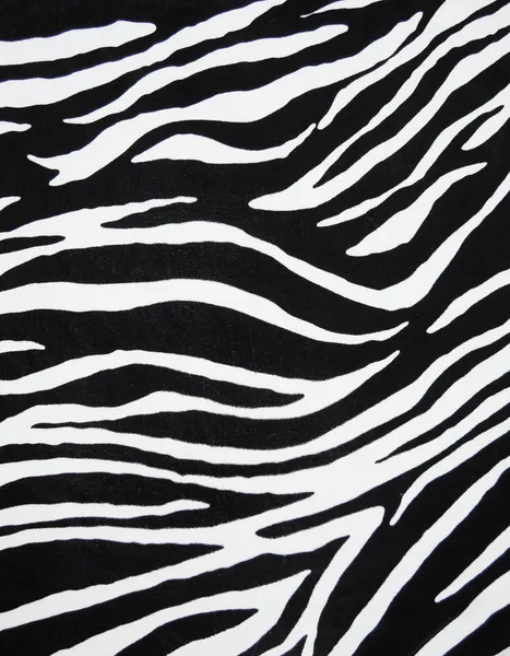 Zebra Tekstil — Stok fotoğraf