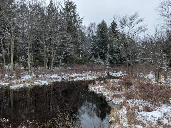 Gros Plan Lac Hiver Avec Neige — Photo