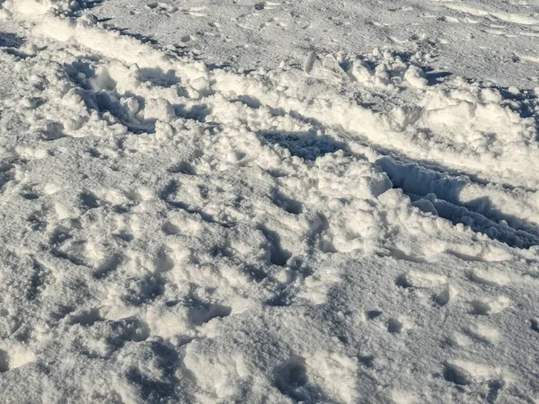 Крупним Планом Текстура Снігу — стокове фото