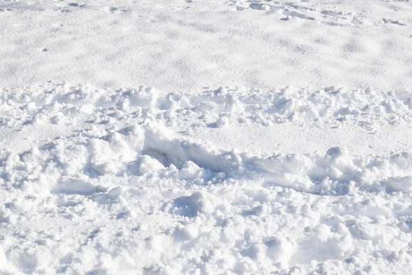 Closeup Snow Texture Background Stock Image