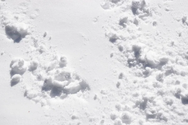 Detailní Sněhová Textura Pozadí — Stock fotografie