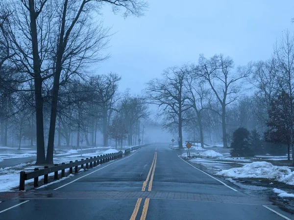 Närbild Vinter Dimmig Park — Stockfoto