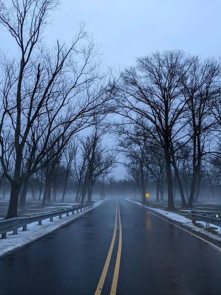 Närbild Vinter Dimmig Park — Stockfoto