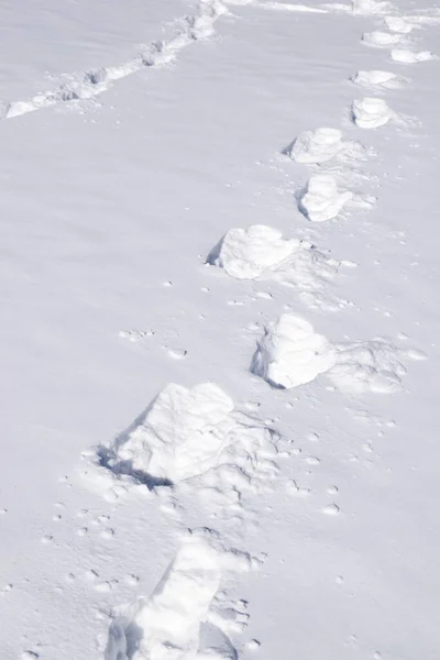 Struttura Della Stampa Primo Piano Sulla Neve — Foto Stock