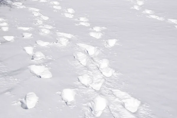 Detailní Tisková Textura Sněhu — Stock fotografie