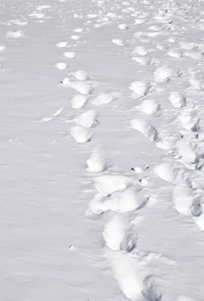 Closeup Print Texture Snow — Stock Photo, Image