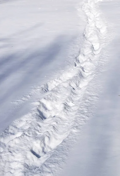 Struttura Della Stampa Primo Piano Sulla Neve — Foto Stock