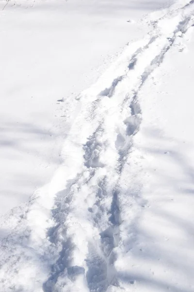 Struttura Della Stampa Primo Piano Sulla Neve — Foto Stock