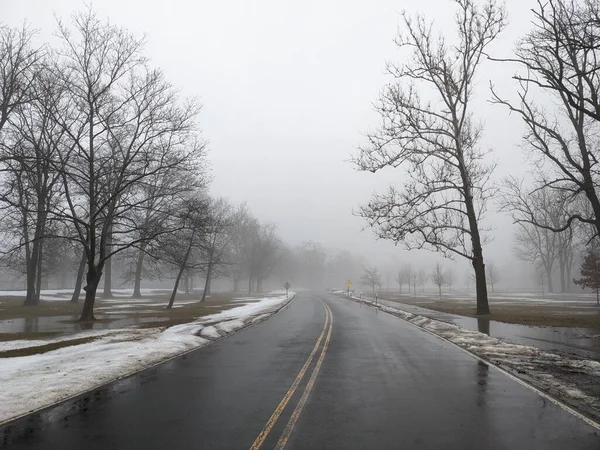 Nahaufnahme Nebel Winter Park — Stockfoto