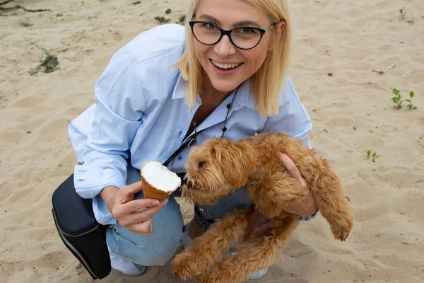 A small puppy in the arms of a girl really wants ice cream. Puppy eats sweet ice cream. best day for a dog. happy moments. puppy eats sweet ice cream on the of the beach
