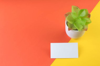 Renkli ve soyut bir geçmişi olan bir kartvizit. Şirket kırtasiye markası modeli. Uzayı metin için kopyala. Üst görünüm