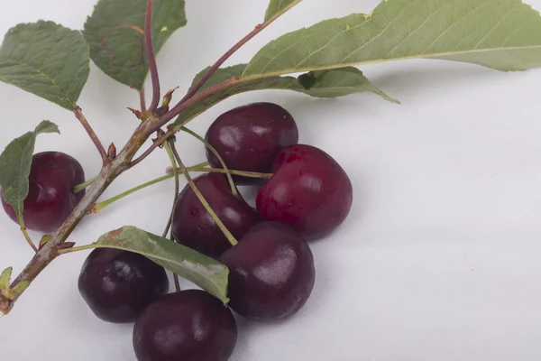 Sweet cherries — Stock Photo, Image