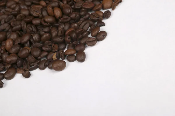 커피콩 — 스톡 사진