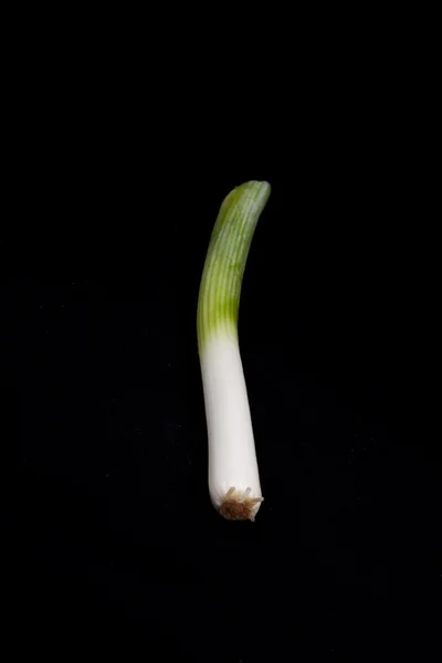 Fresh baby leek on black background — Stock Photo, Image