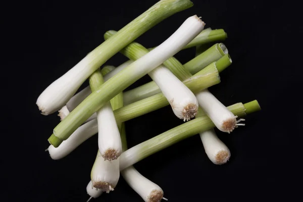 Fresh baby leek on black background — Stock Photo, Image