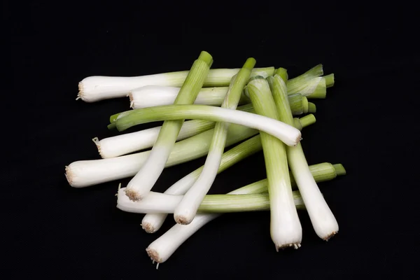 Fresh baby leek on black background — Stock Photo, Image