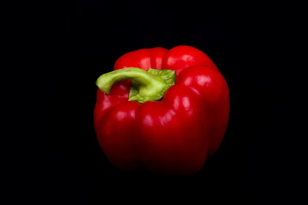 Red pepper on a black background — Stock Photo, Image