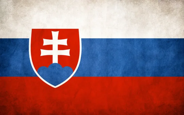 Flagge der Slowakei — Stockvektor