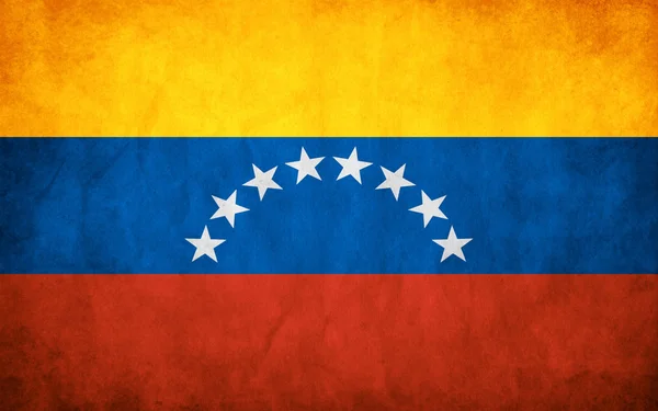 Vlag van venezuela — Stockvector