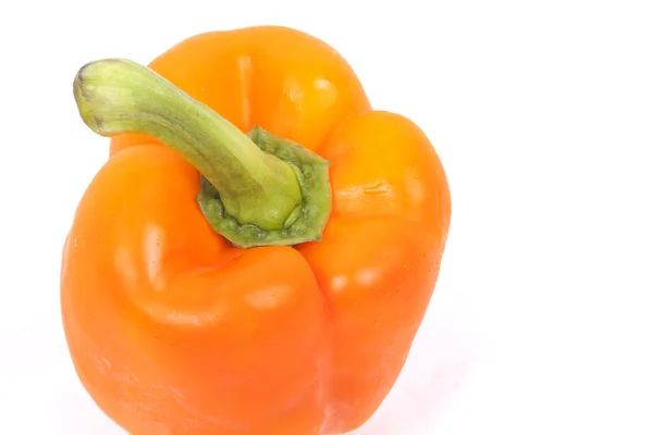 Oranje paprika op een witte achtergrond — Stockfoto