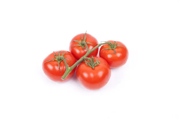 Tomates sur une vigne sur fond blanc — Photo