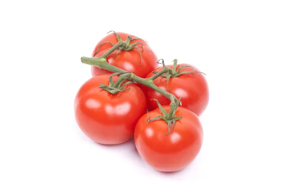 Beyaz zemin üzerinde bir asma üzerinde domates — Stok fotoğraf