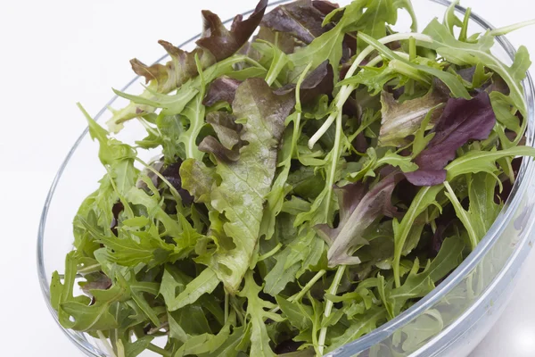 Sallad i en skål — Stockfoto