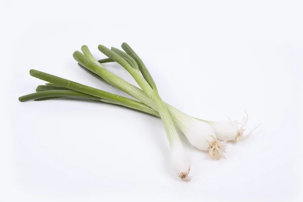 Spring onions — Stock Photo, Image