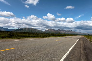 View from George Parks Hwy, Alaska