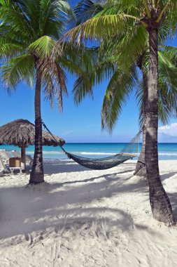 tropik tatil