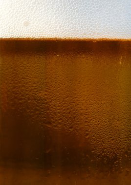 Taze koyu taslak bira detay