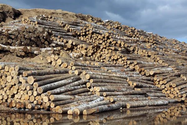 O armazém de logs — Fotografia de Stock