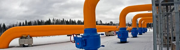 Gaz kompresör istasyonunun panoraması. Kışın.