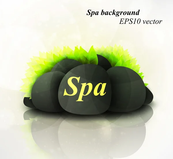 Spa vector background — Stock Vector