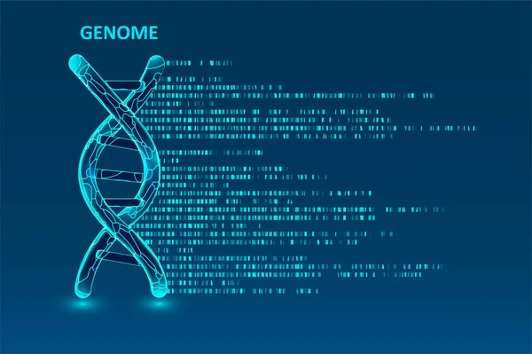 Velká Vizualizace Genomických Dat Dna Test Genomová Mapa Grafický Koncept — Stockový vektor