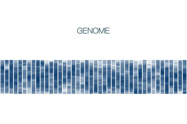 Visualizzazione Grandi Dati Genomici Test Del Dna Mappa Genomica Concetto — Vettoriale Stock