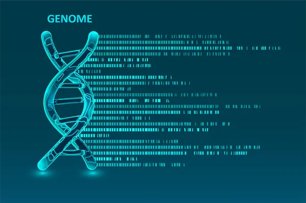 Visualização Grandes Dados Genômicos Teste Adn Mapa Genoma Conceito Gráfico — Vetor de Stock