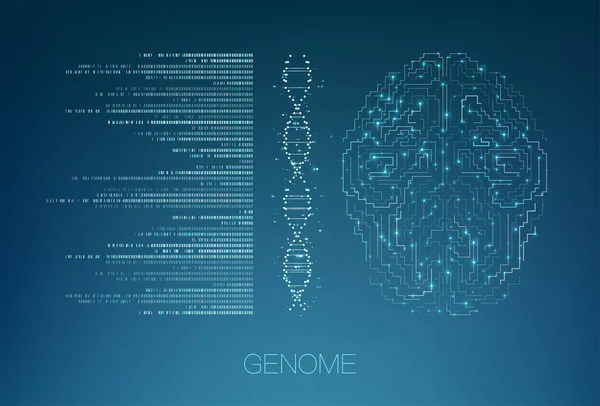 Visualización Grandes Datos Genómicos Prueba Adn Mapa Del Genoma Concepto — Vector de stock