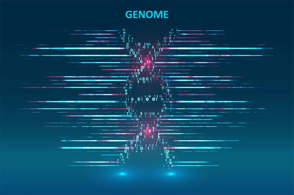 데이터 시각화 유전자 당신의 디자인을 그래픽 — 스톡 벡터