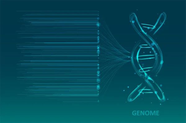 Visualización Grandes Datos Genómicos Prueba Adn Mapa Del Genoma Concepto — Archivo Imágenes Vectoriales