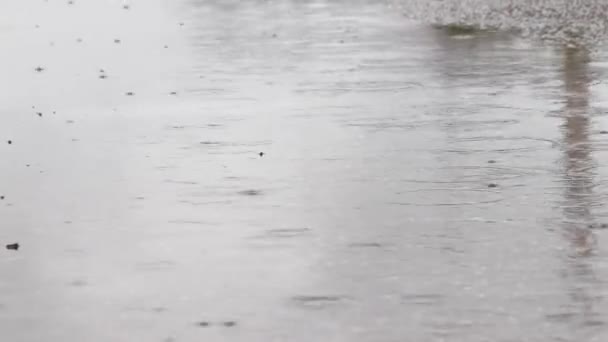 Dešťové kapky na asfalt. Videofonní déšť. Letní déšť. — Stock video