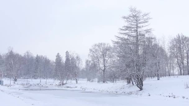 Ośnieżony zimowy krajobraz. Zimowa bajka. Pada śnieg.. — Wideo stockowe