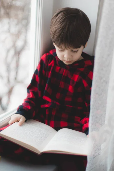 A boy is reading a book on the window . Childrens books. An article about children s leisure . — 스톡 사진