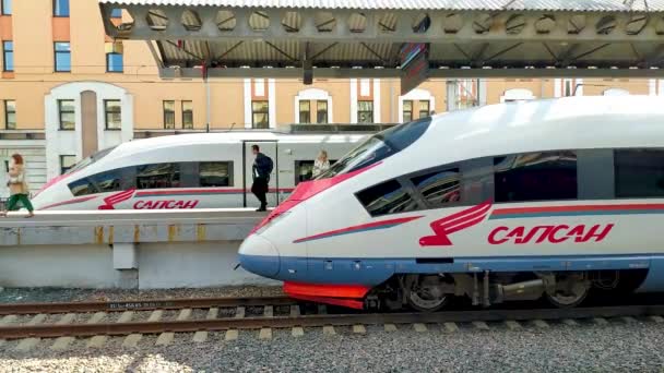 Passengers Get Train Passengers Get Out Peregrine Falcon Russian High — стокове відео