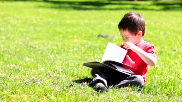 Boy Reading Book Grass Children Books Reading Hobbies Leisure Article — ストック動画